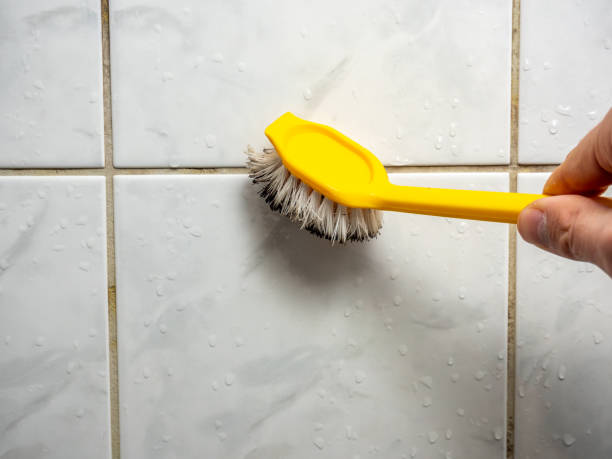 Best Mold Remediation Experts  in Madison Center, CT