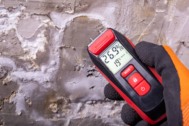 Best Toxic Mold Removal  in Madison Center, CT