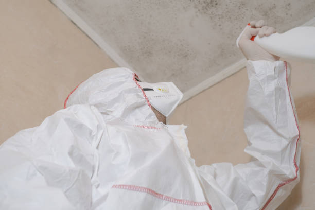 Crawl Space Mold Removal in Madison Center, CT
