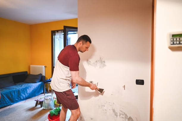 Best Emergency Mold Removal  in Madison Center, CT